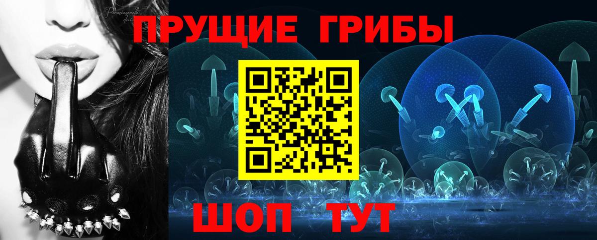 Псилоцибиновые грибы Psilocybine cubensis Шебекино